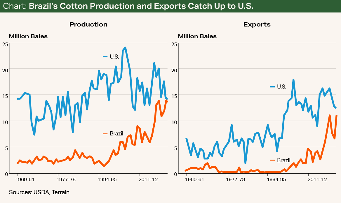 Chart - Brazil's Cotton Production and Exports Catch Up to U.S. Chart - Brazil's Cotton Production and Exports Catch Up to U.S.