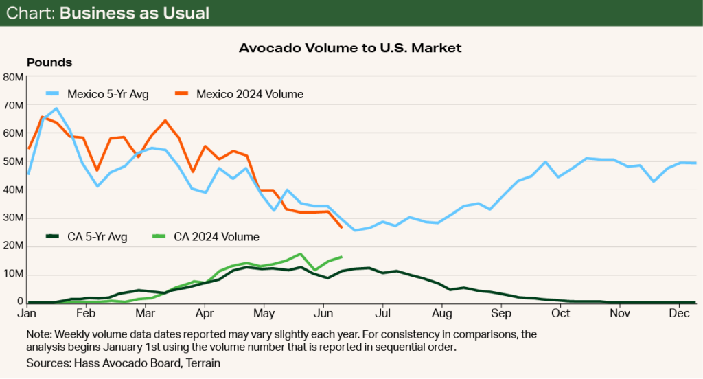 Chart - Business as Usual Avocado Volume to U.S. Market Chart - Business as Usual Avocado Volume to U.S. Market