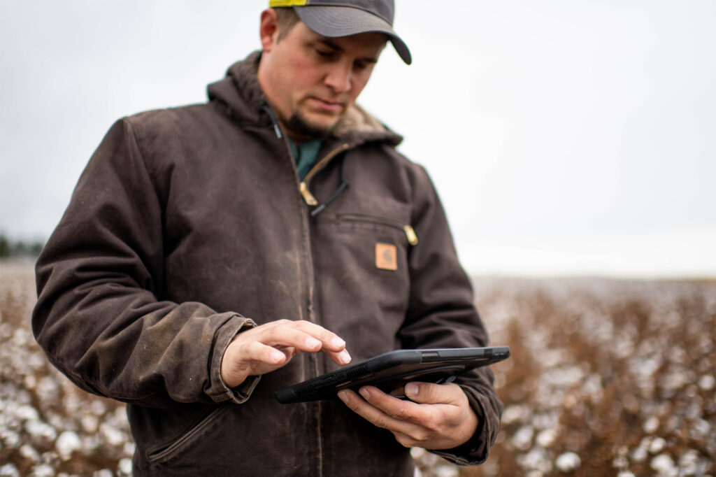 Farmer using tech in cotton field Farmer using tech in cotton field