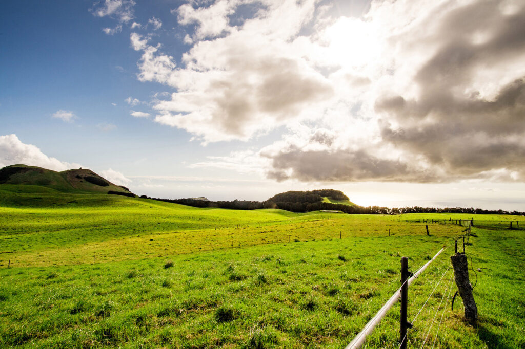 View looking out over grassy field under beautiful sky View looking out over grassy field under beautiful sky