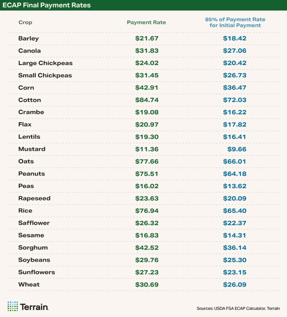 Table image of ECAP Final Payment Rates for 21 commodities
