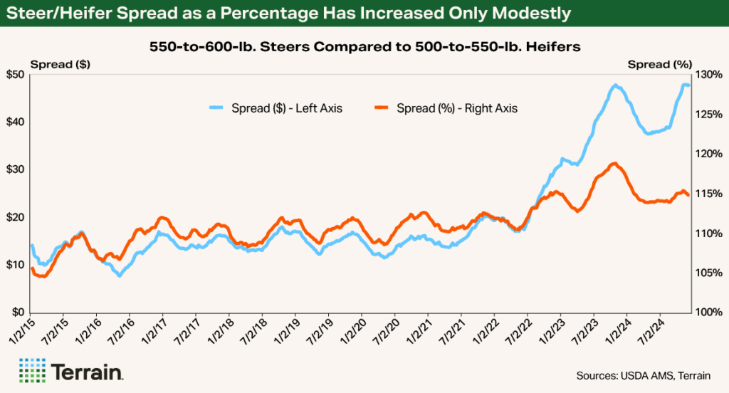 NCBA August 2025 Chart - Steer/Heifer Spread as a Percentage Has Increased Only Modestly