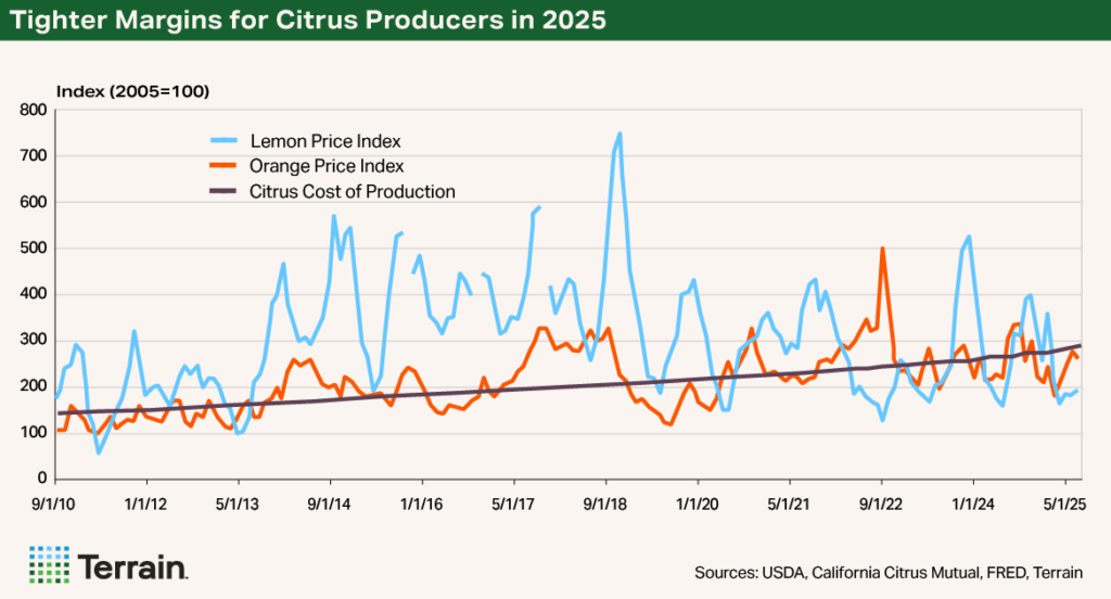 Chart Citrus Q4 2025 - Tighter Margins for Citrus Producers in 2025 Chart Citrus Q4 2025 - Tighter Margins for Citrus Producers in 2025
