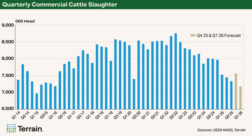 Q1 2026 Beef Chart - Quarterly Commercial Cattle Slaughter Q1 2026 Beef Chart - Quarterly Commercial Cattle Slaughter