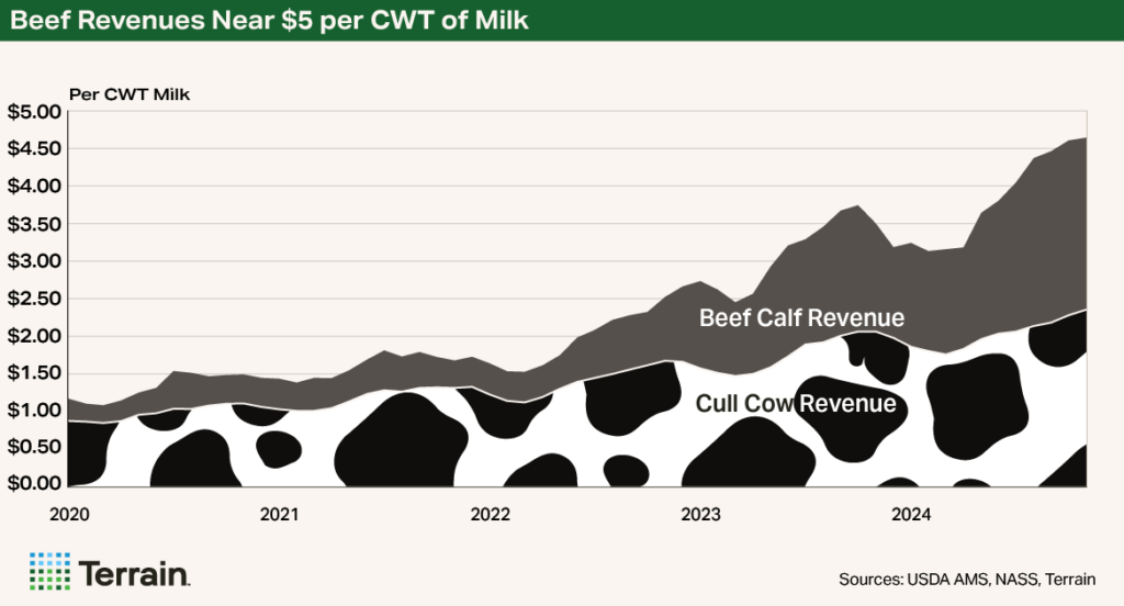 Q1 2026 Dairy Chart 2 - Beef Revenues Near $5 per CWT of Milk Q1 2026 Dairy Chart 2 - Beef Revenues Near $5 per CWT of Milk