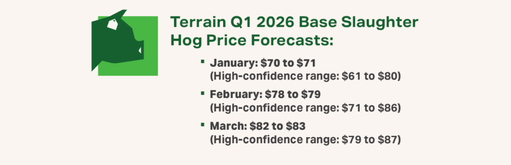 Q1 2026 Swine Infographic 1 - Terrain Q1 2026 Base Slaughter Hog Price Forecast Q1 2026 Swine Infographic 1 - Terrain Q1 2026 Base Slaughter Hog Price Forecast
