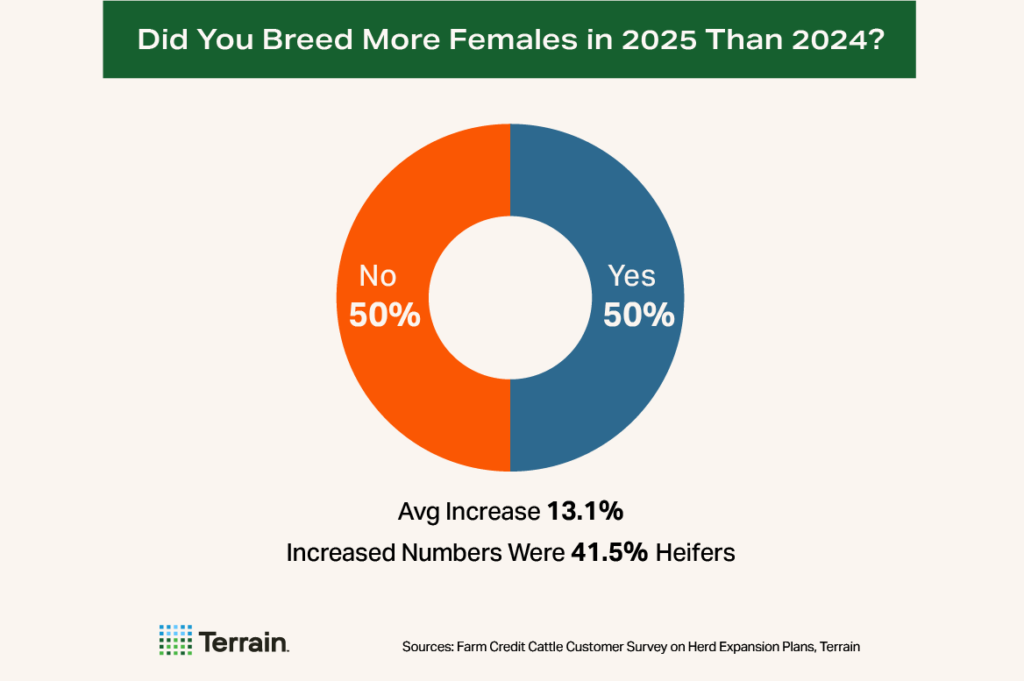 Cow-Calf Survey Chart 3 - Did You Breed More Females in 2025 Than 2024?