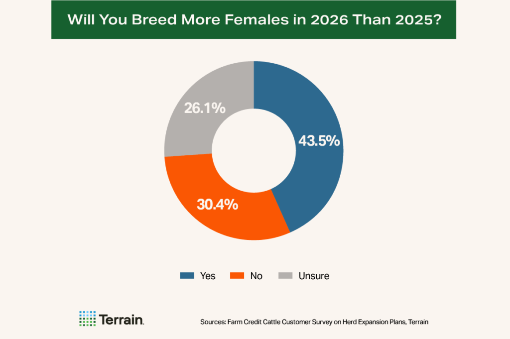 Cow-Calf Survey Chart 5 - Will You Breed More Females in 2026 Than 2025?