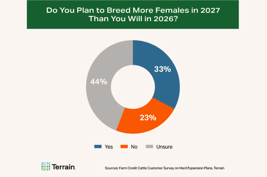 Cow-Calf Survey Chart 6 - Do You Plan to Breed More Females in 2027 Than You Will in 2026?
