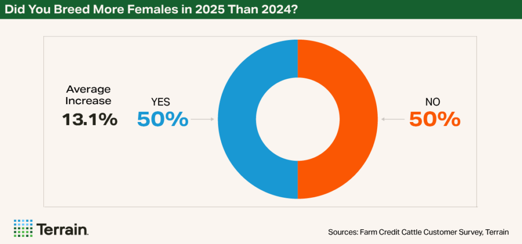 Terrain Chart NCBA February 2026 - Did You Breed More Females in 2025 Than 2024? Terrain Chart NCBA February 2026 - Did You Breed More Females in 2025 Than 2024?