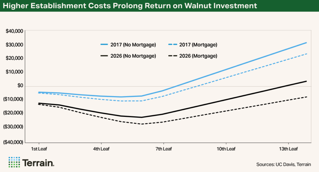 Chart Walnuts Q2 2026 - Higher Establishment Costs Prolong Return on Walnut Investment